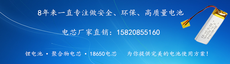 聚合物电池厂家信息